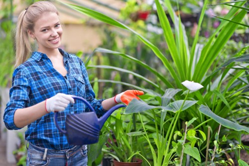 Professional Cambridge Heath gardeners trimming hedges and borders