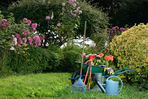 Overgrown garden clearance in Cambridge Heath