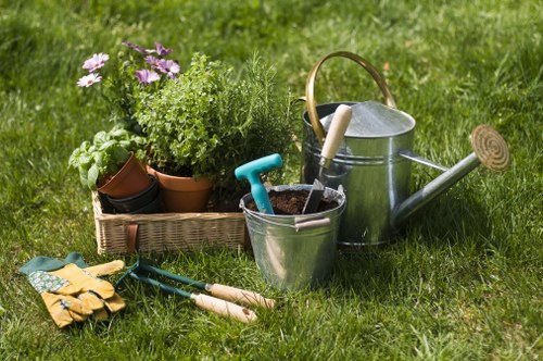 Sustainable garden landscaping in Cambridge Heath