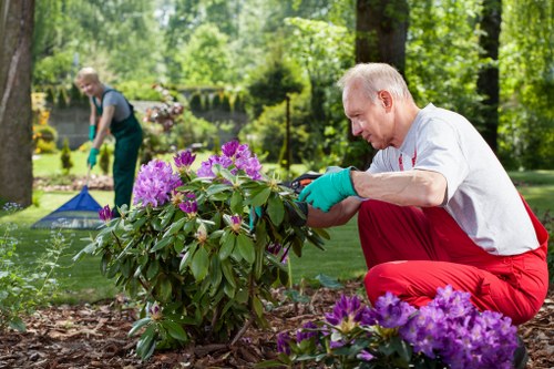 Removing garden waste in Cambridge Heath