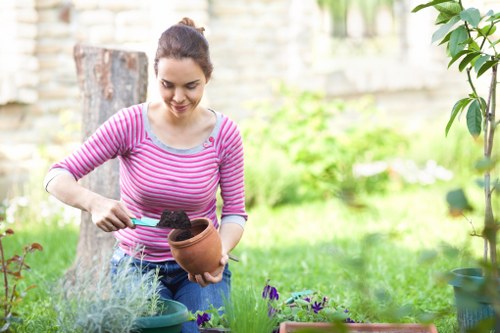 Routine review of a garden health and safety policy in progress