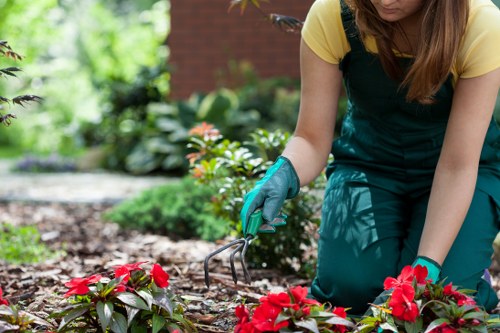 Reporting channel and safeguarding support for gardening staff