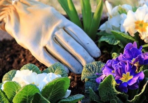 Seasonal gardening services in Cambridge Heath with planting and maintenance