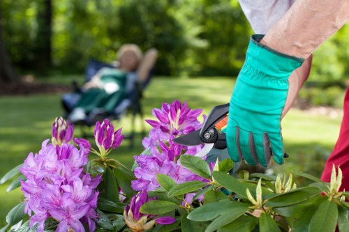 Annual review and policy update for Cambridge Heath gardening services