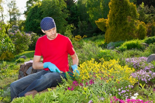 Keyboard navigation support for accessible local gardening pages