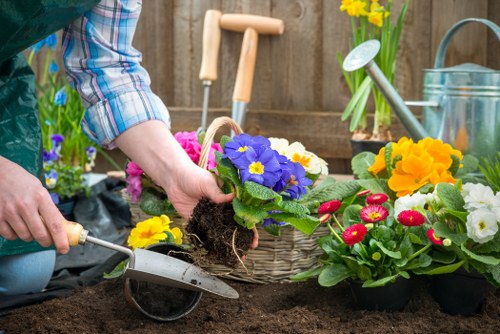 Professional garden maintenance in Cambridge Heath with tidy planting