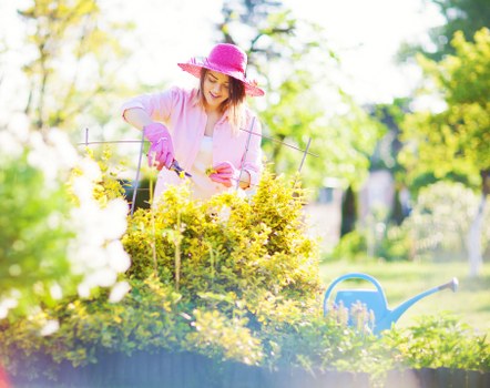 Transparent gardener pricing and waste volume estimates in Cambridge Heath