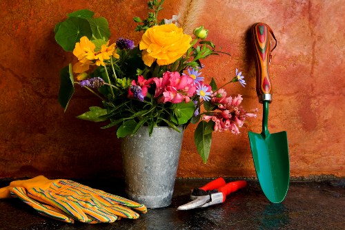 Sustainable garden maintenance and recycling in Cambridge Heath