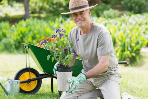 Cambridge Heath garden maintenance with lawn and border care