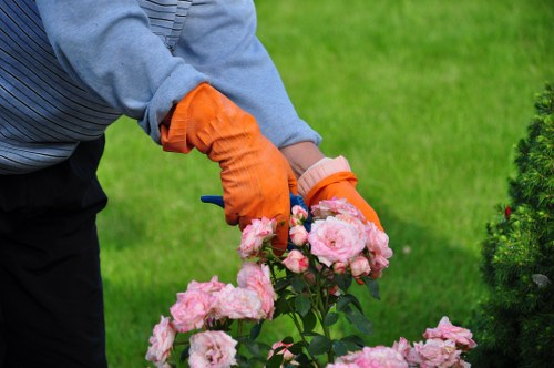 Local lawn care conditions showing shade and compact soil