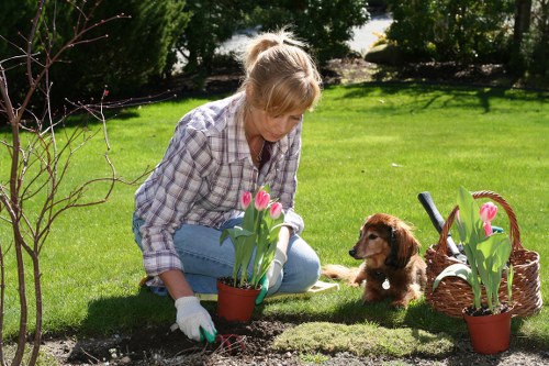 Planting and paving for Cambridge Heath outdoor spaces
