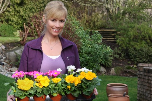 Clean patio and hard surface upkeep as part of garden maintenance