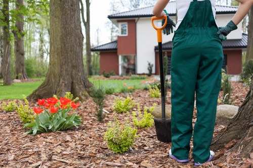 Aeration and soil improvement for lawn care in Cambridge Heath